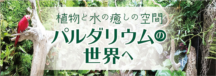 石原デザイン研究所×西村JOYコラボレーションサイト