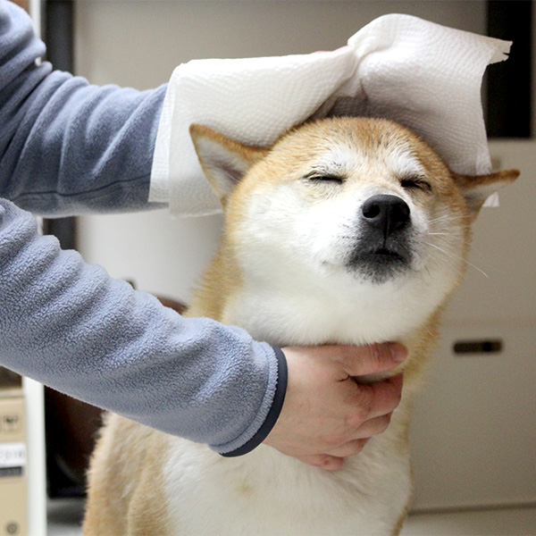 西村ジョイ下松店