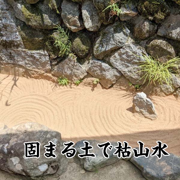 固まる土まさ王