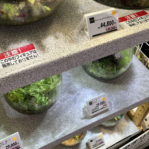 包丁
