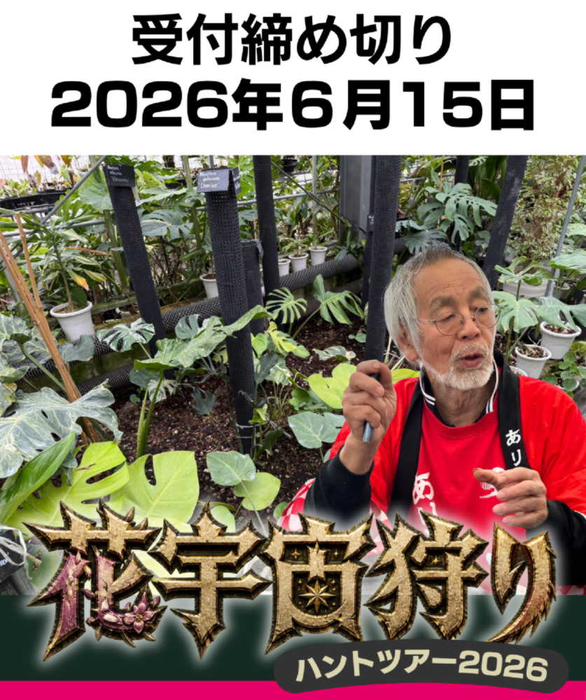 西村ジョイ
