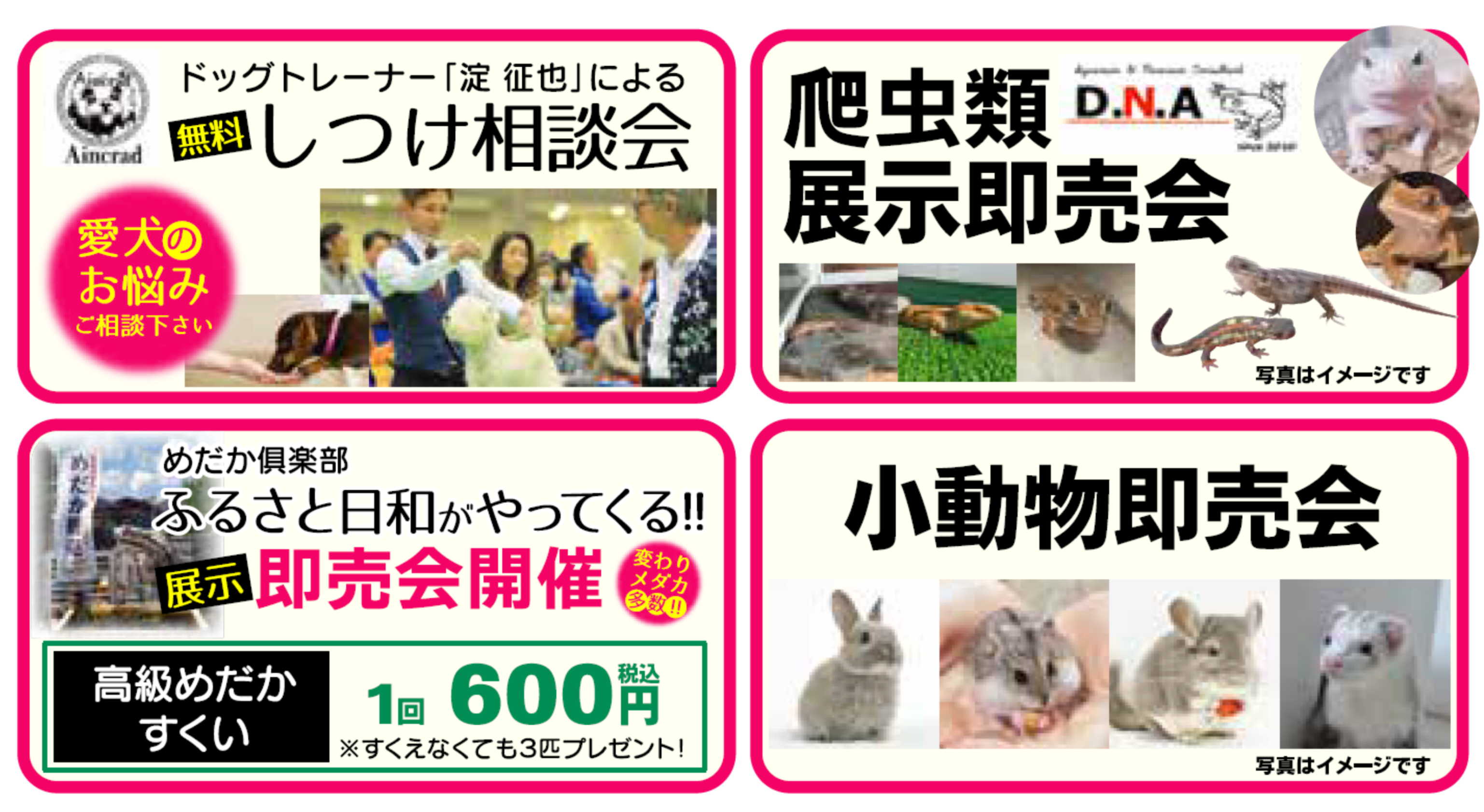 ドクターイエローイメージ