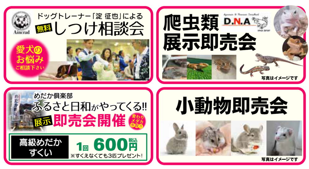 ドクターイエローイメージ