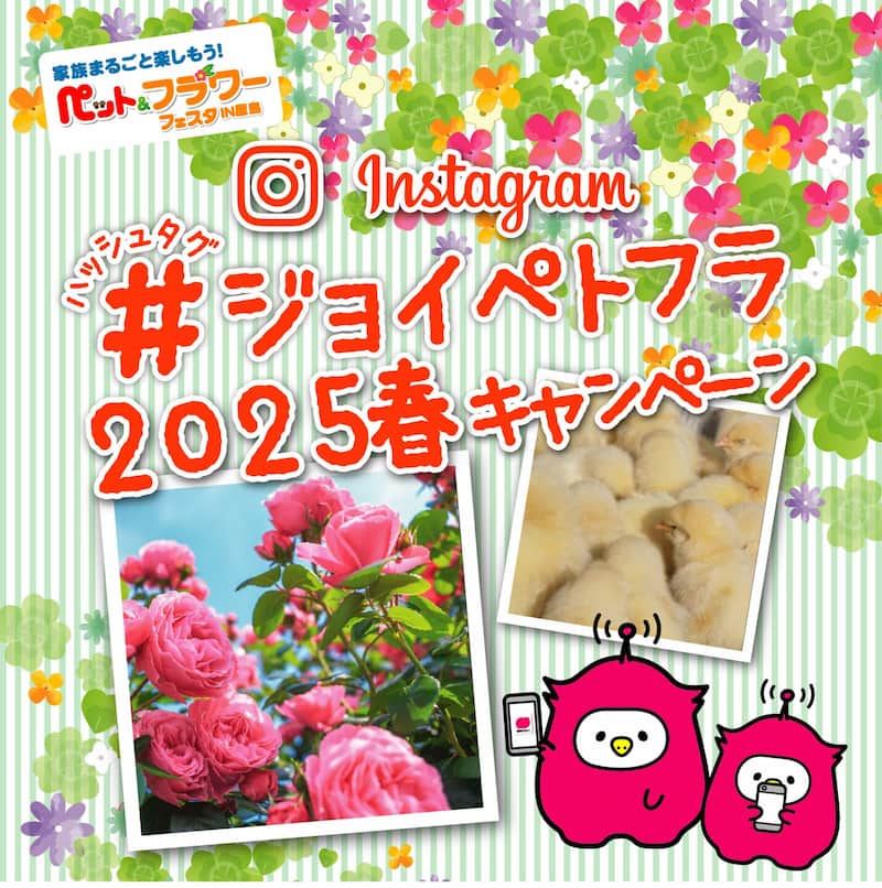 Instagramハッシュタグキャンペーン