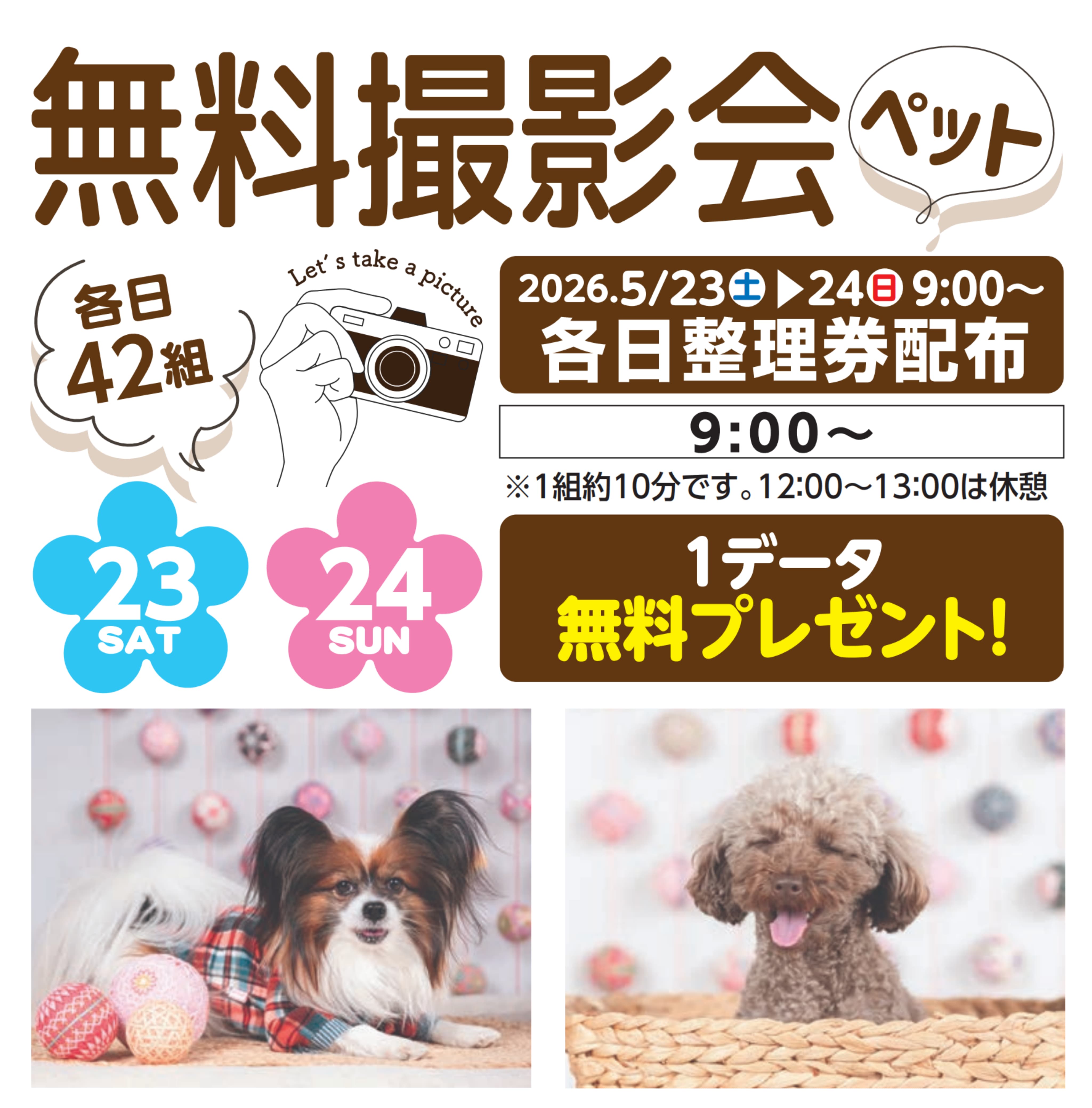 ペット無料撮影会