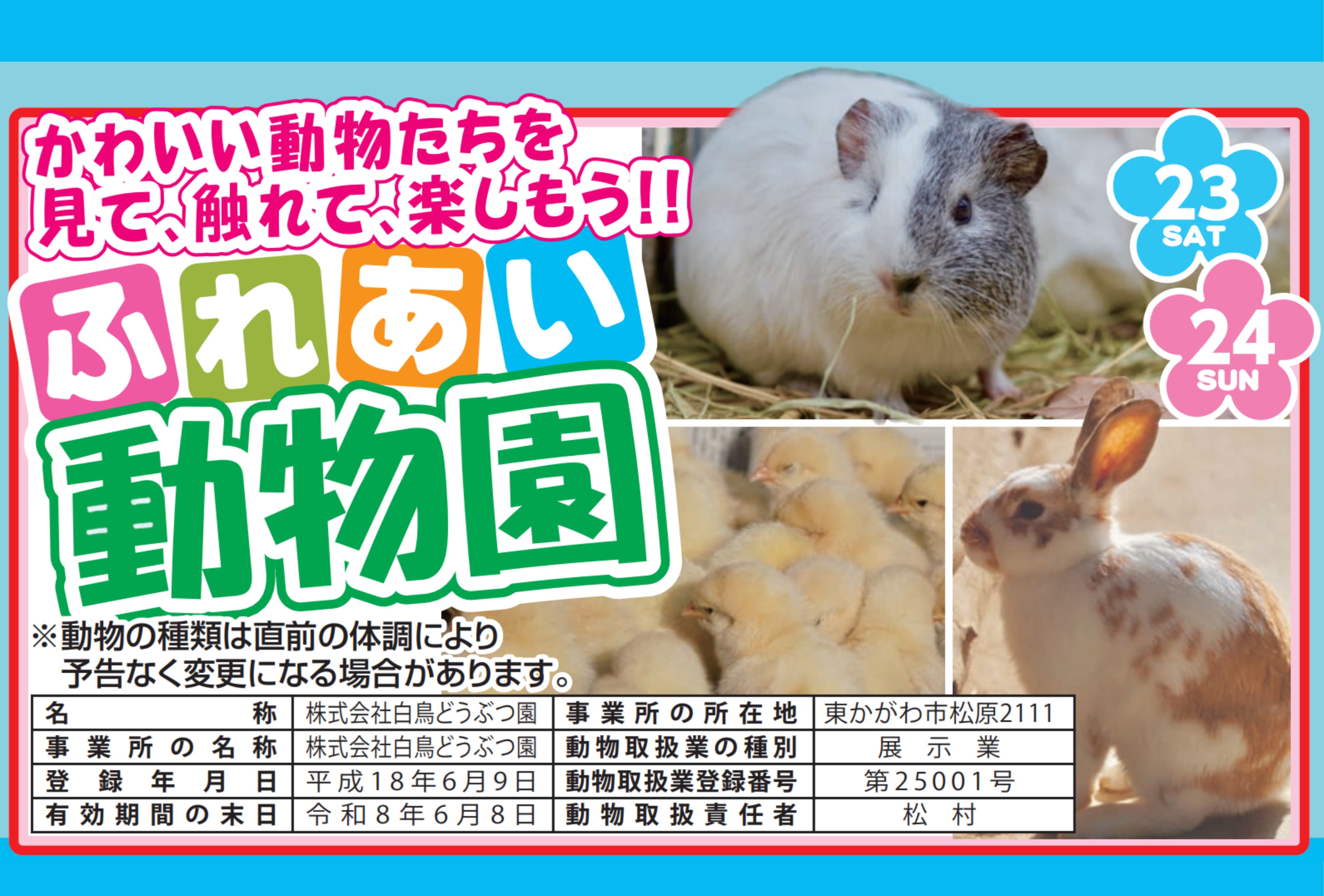 ペット掘り出し市案内