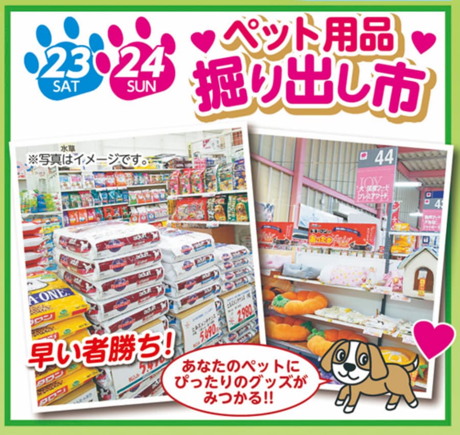掘り出し市