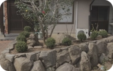 庭木の剪定・植栽事例