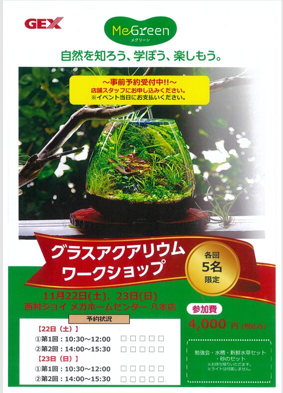 【八木店】グラスアクアリウムワークショップ開催！！予約受付中！！