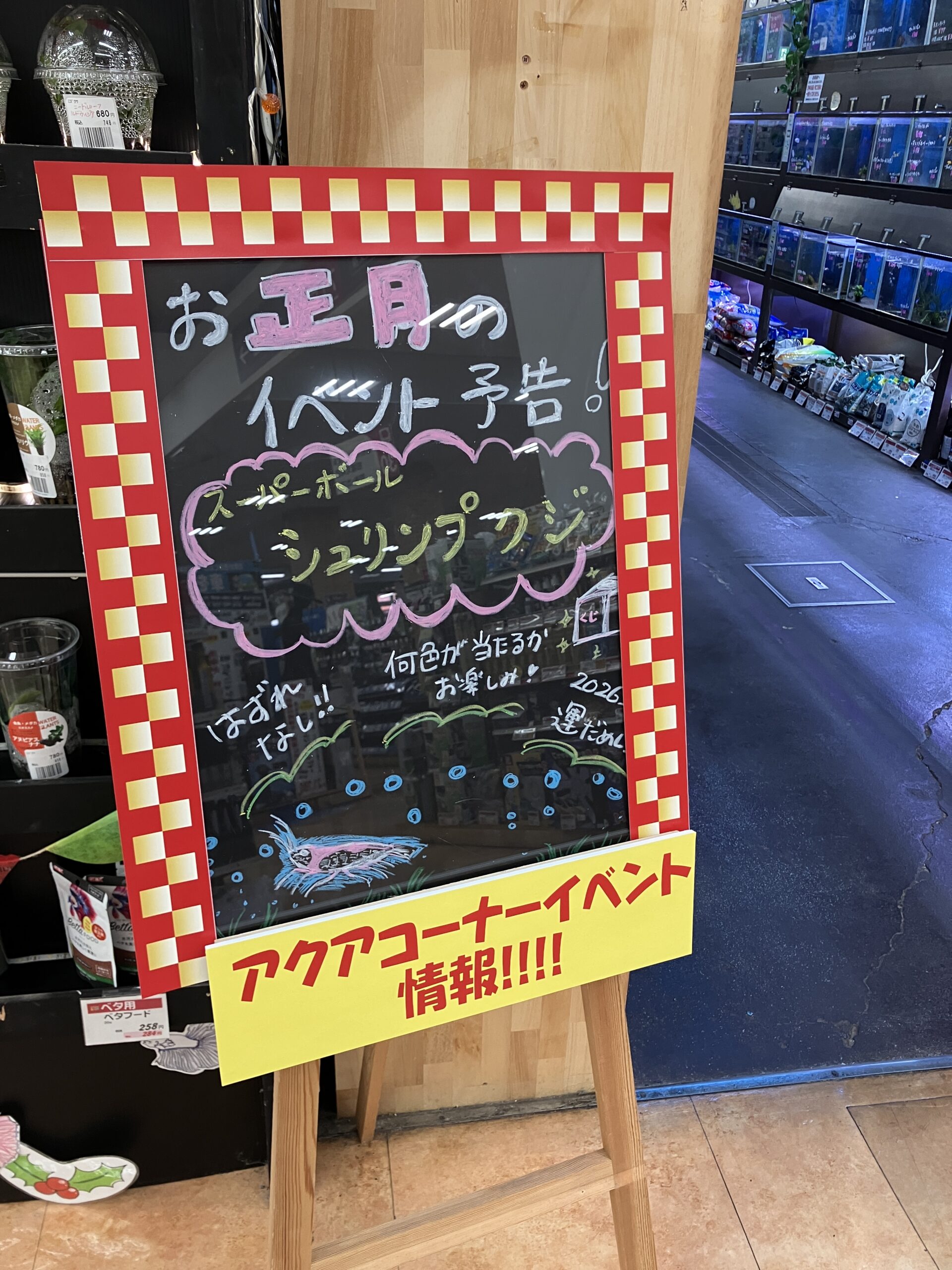 【新春イベント情報🦐✨】