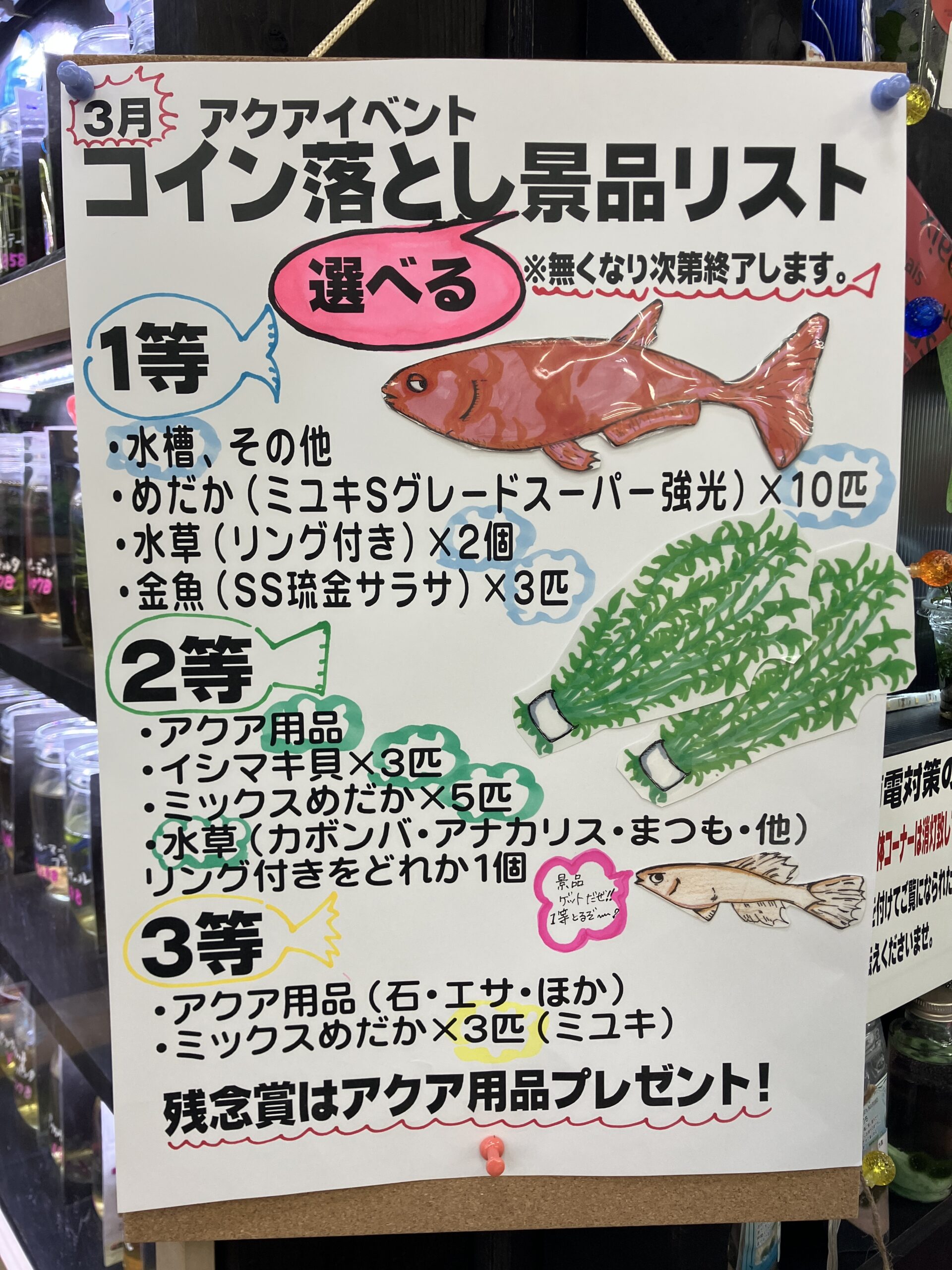 アクア用品お買い上げで「コインゲーム」にチャレンジ✨