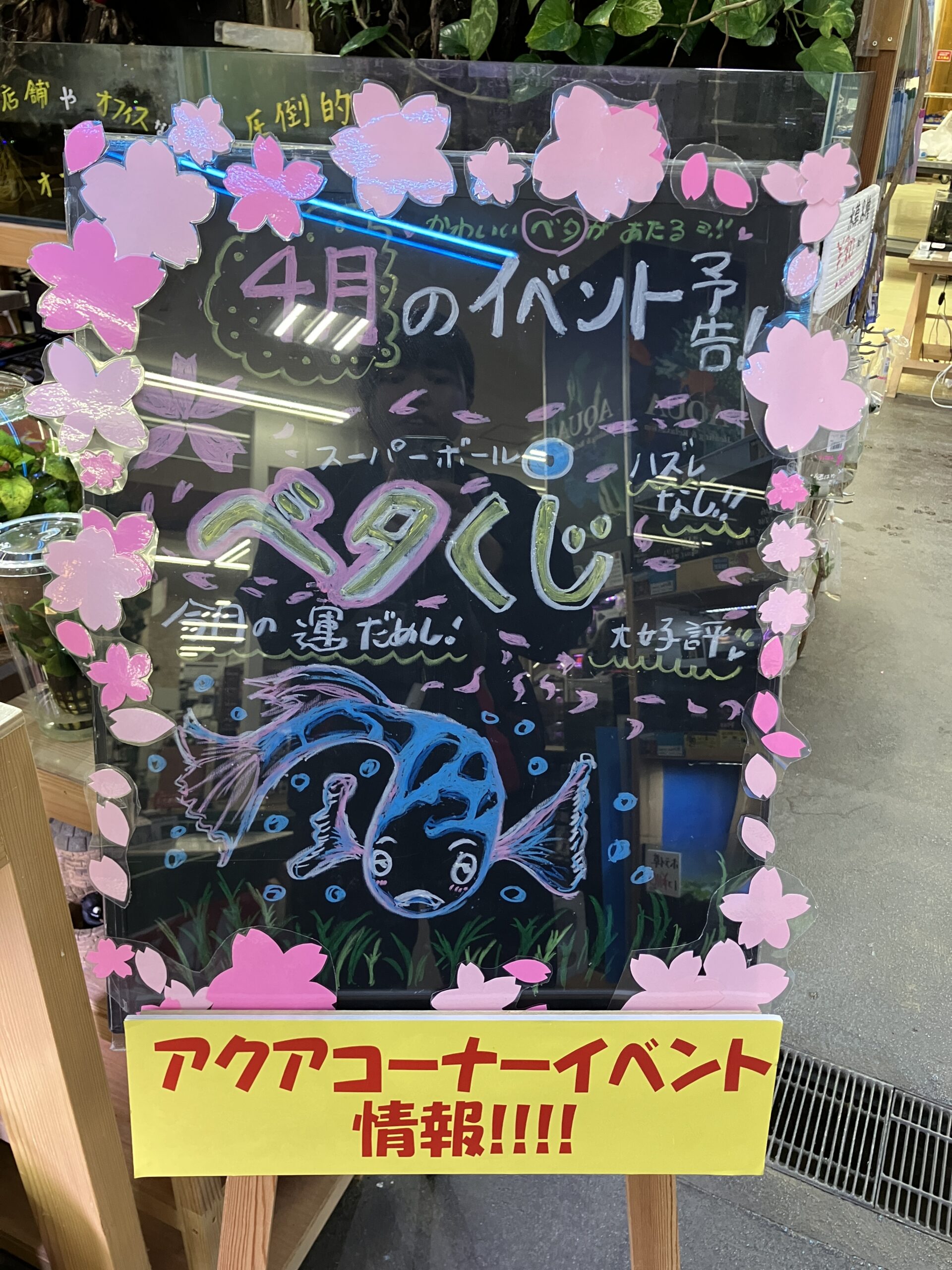 【好評✨】ベタくじ開催中！