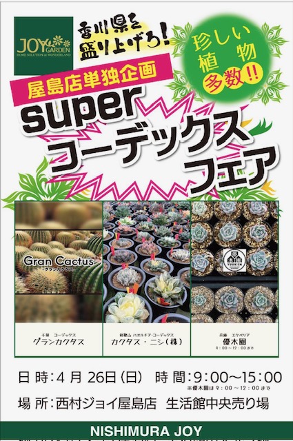 4／2６(日)コーデックスフェア開催🔥