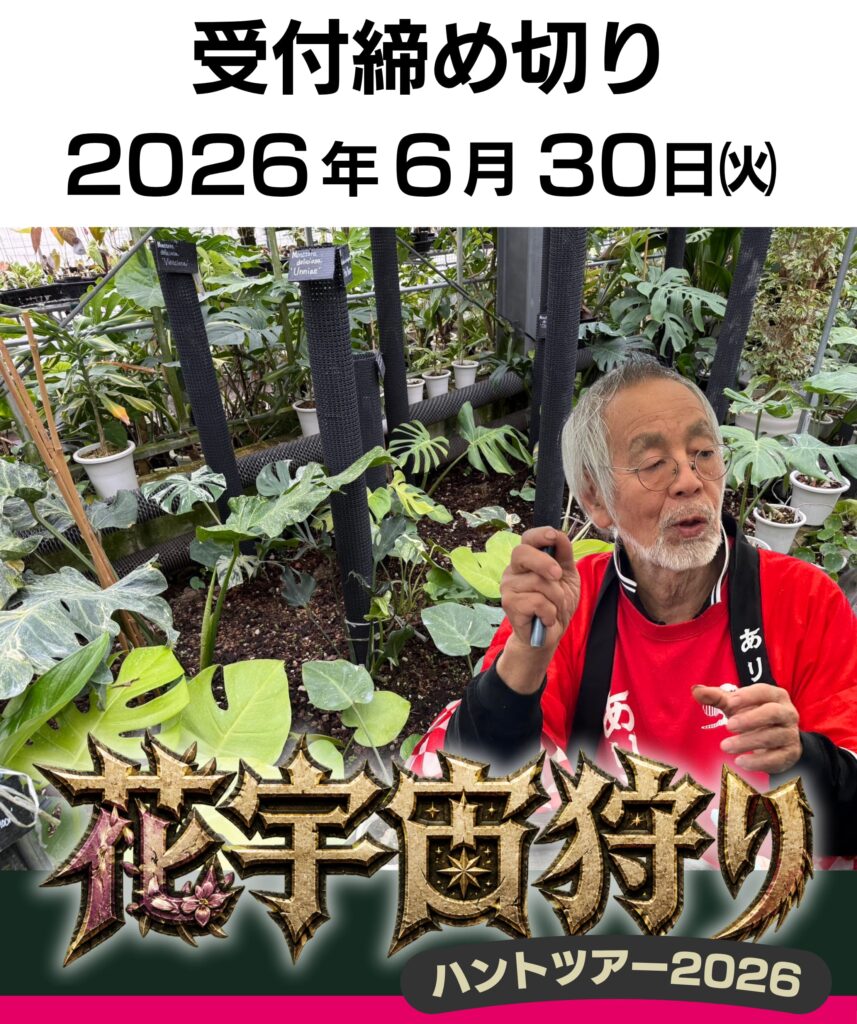 工芸作品・蝶　草花　飼育天然記念物採集地　信州/博物館・教材 花宇宙狩り」ツアー開催決定！🌵✨ | 西村ジョイ ホームセンター香川