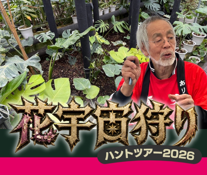 「花宇宙狩り」ツアー開催決定！🌵✨
