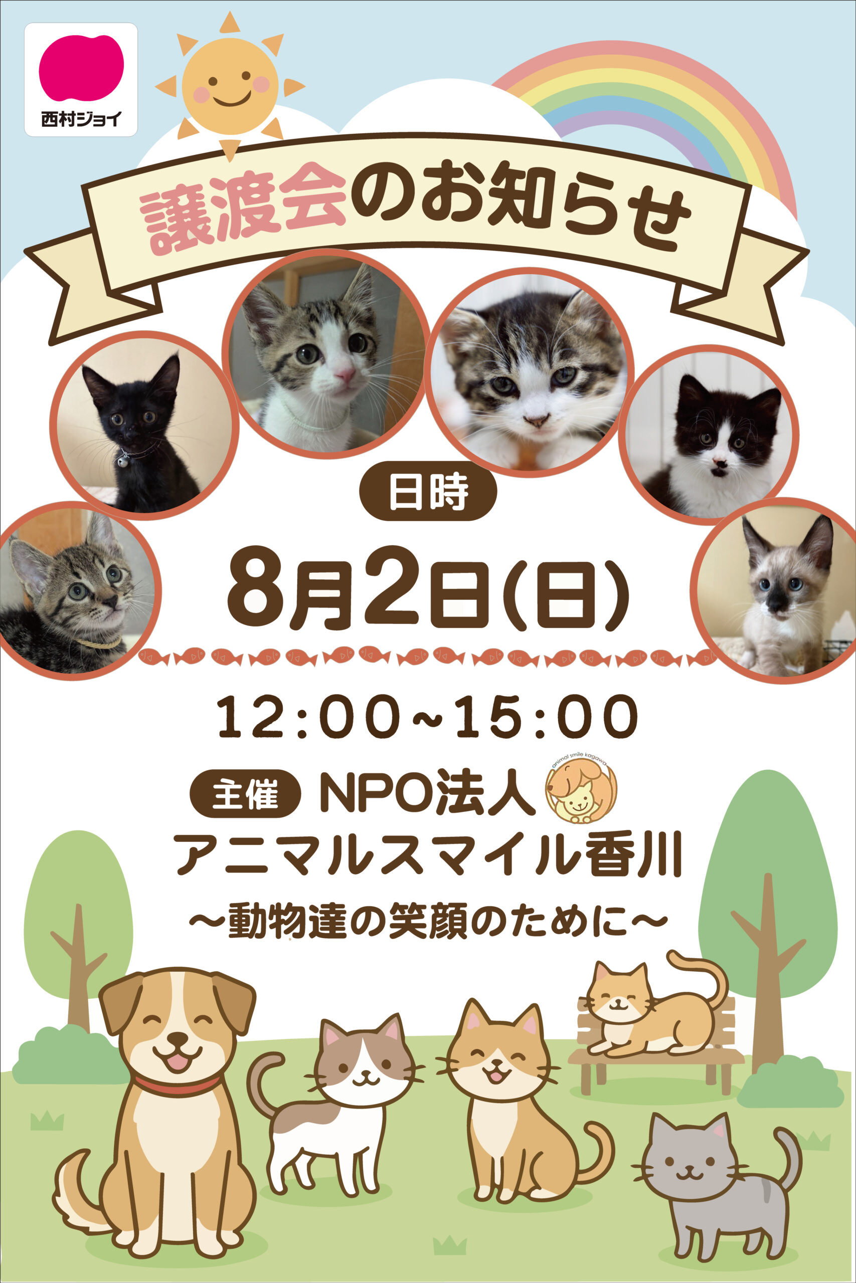 猫ちゃん譲渡会のおしらせ🐈