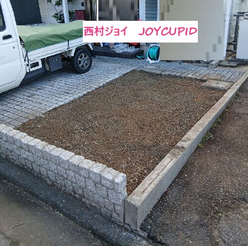 マキの木 抜根作業(JOYCUPID)