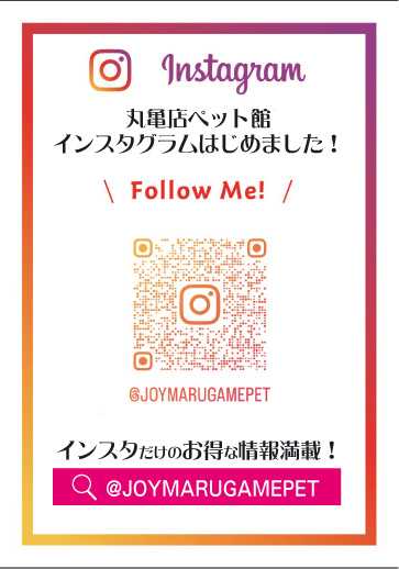 丸亀店　ペット館Instagram開設！