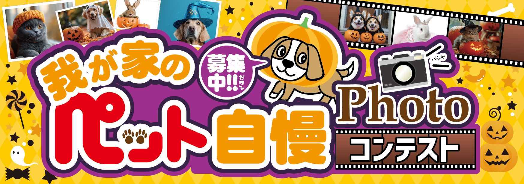 🐾「ペット自慢Photoコンテスト」写真大募集！📸