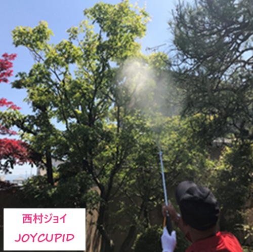 害虫予防(JOYCUPID)