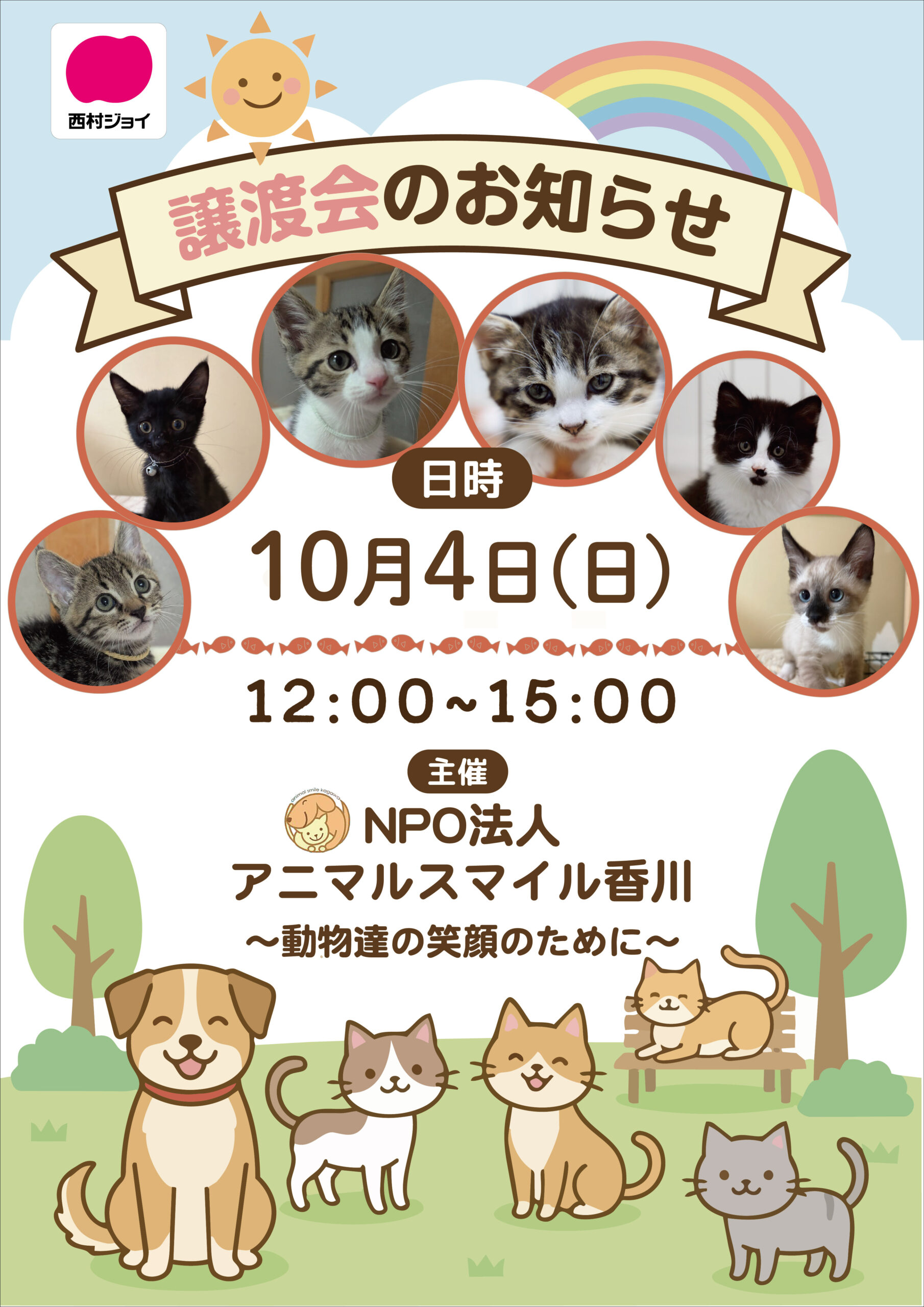 かわいい猫ちゃんが大集合😸