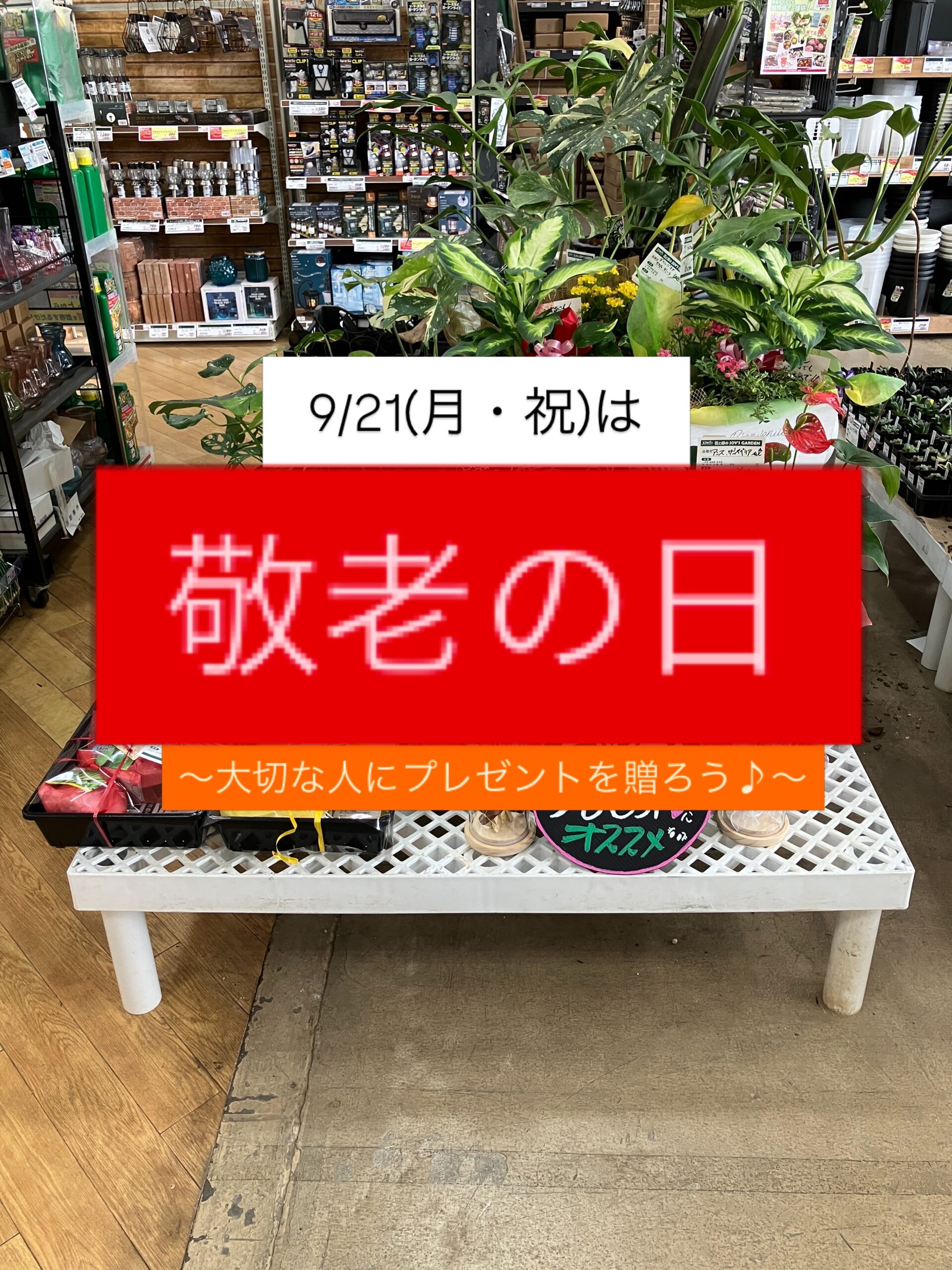 9/21（月・祝）敬老の日におすすめギフト！