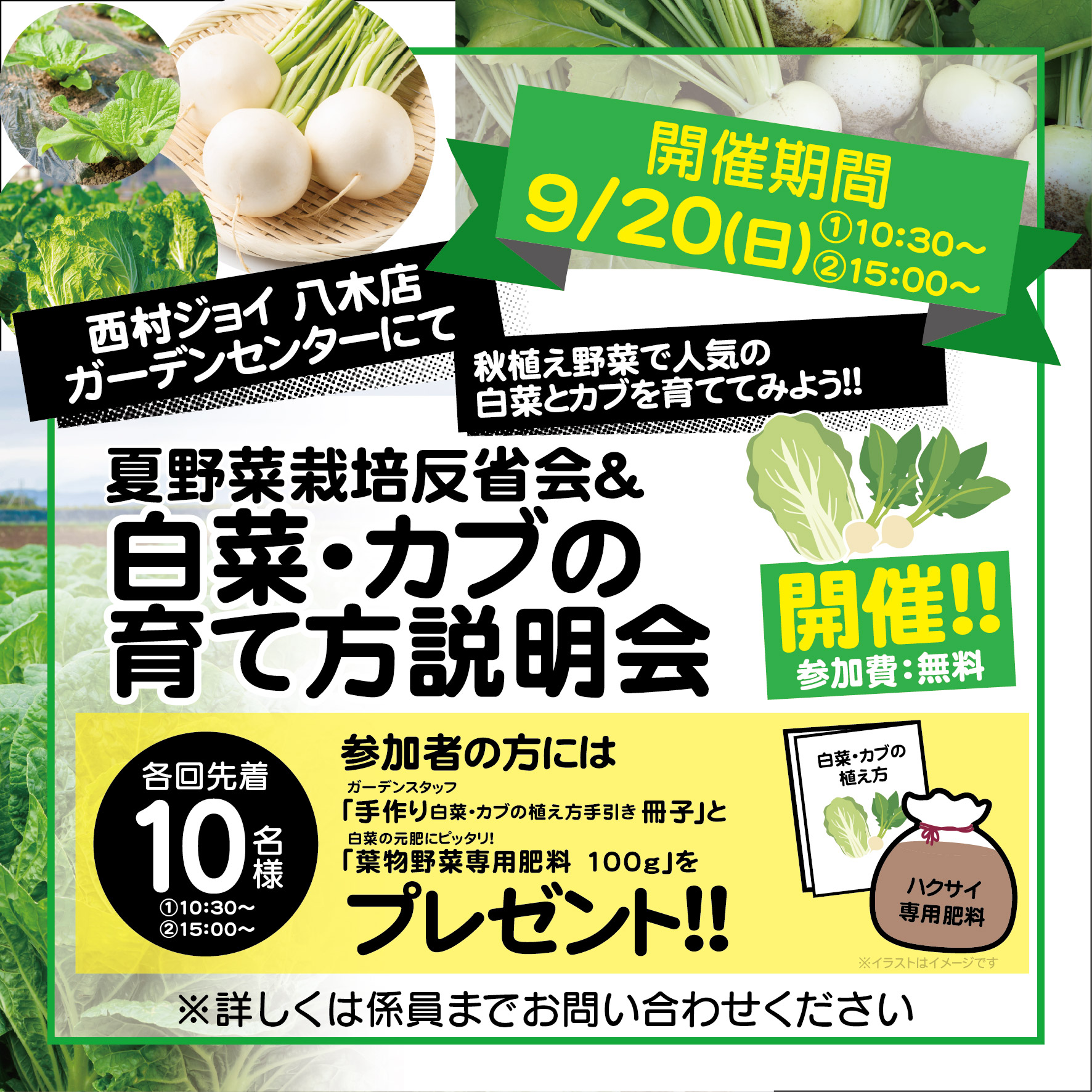 9/20(日)　八木店　ハクサイ・カブの植え方説明会開催