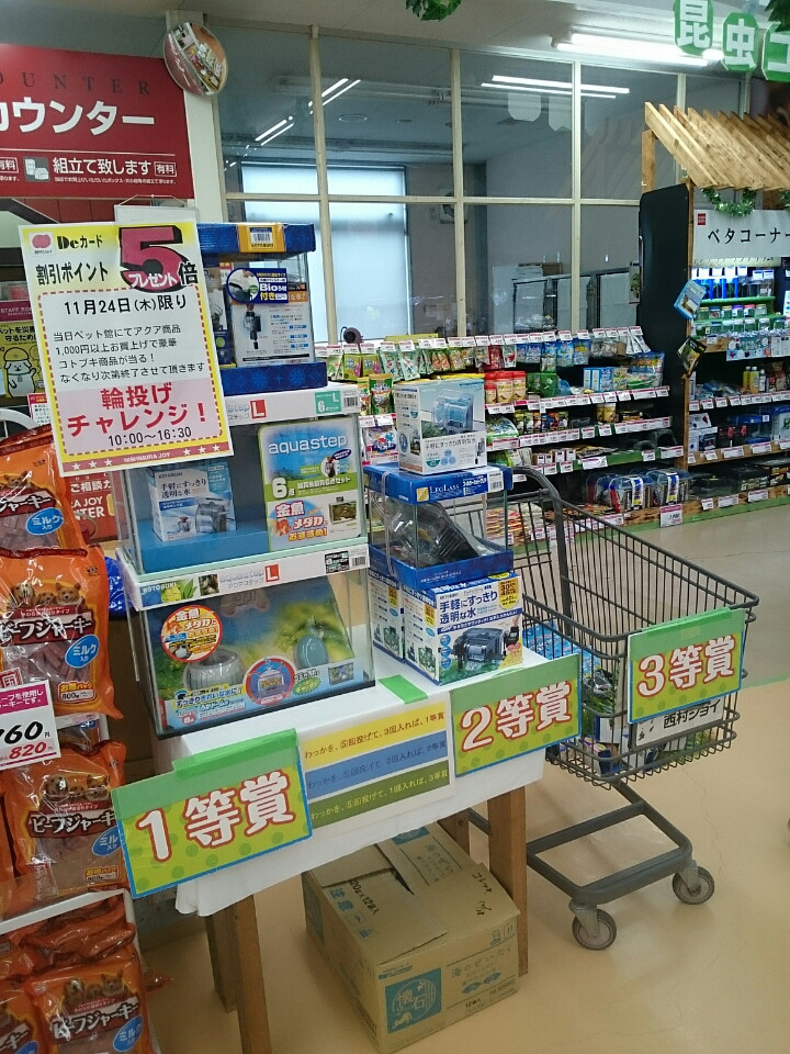 丸亀店 創業祭 第２弾 Part2 西村ジョイ