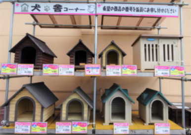 動画あり サークル ケージ 犬小屋特集 西村ジョイ