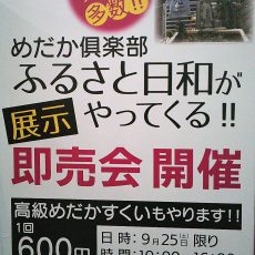 琴平店 西村ジョイ