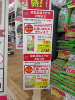 値上げ前の今が買い時です。 - 西村ジョイ