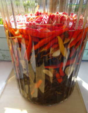 園芸用の殺虫剤を作ろう 西村ジョイ