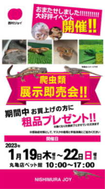 丸亀店単独イベント 爬虫類展示即売会 西村ジョイ